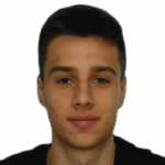 Ilia Gruev